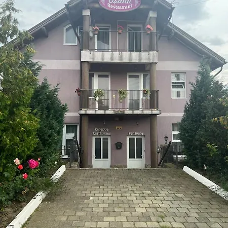 Osanu *